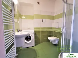 Pronájem bytu 1+kk, Plzeň, K Dolovu, 32 m2