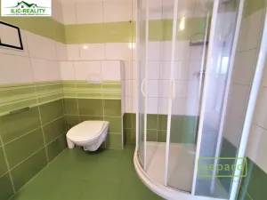 Pronájem bytu 1+kk, Plzeň, K Dolovu, 32 m2