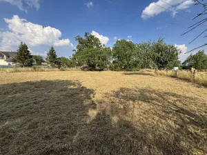 Prodej zahrady, Ruprechtov, 2387 m2