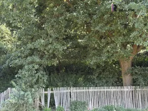 Prodej rodinného domu, Holedeč - Stránky, 90 m2