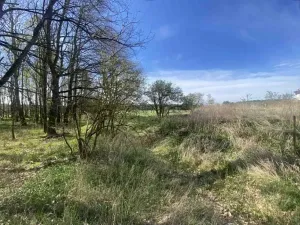 Dražba louky, Hranice, 2086 m2