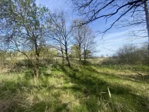 Dražba louky, Hranice, 2086 m2