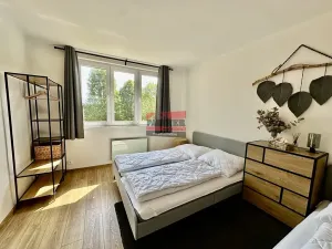 Prodej apartmánu, Želnava, 55 m2