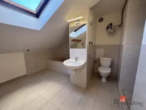 Pronájem bytu 2+kk, Opava - Předměstí, Mánesova, 67 m2