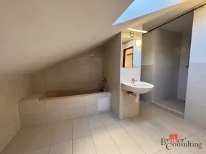 Pronájem bytu 2+kk, Opava - Předměstí, Mánesova, 67 m2