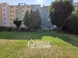 Pronájem bytu 1+kk, Olomouc, Dukelská, 24 m2