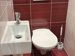Pronájem bytu 2+kk, Praha - Žižkov, Sudoměřská, 48 m2