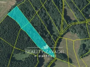 Prodej lesa, Sedlec-Prčice - Sušetice, 8504 m2