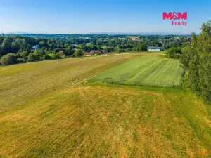 Prodej louky, Petrovice u Karviné - Prstná, 29562 m2