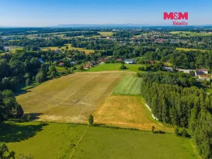 Prodej louky, Petrovice u Karviné - Prstná, 29562 m2