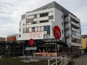 Pronájem bytu 1+kk, Hradec Králové - Třebeš, Ve Stromovce, 33 m2