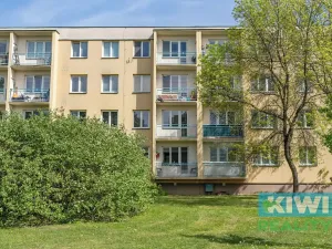 Pronájem bytu 3+1, Havířov, Točitá, 61 m2