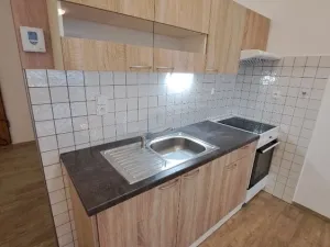 Pronájem bytu 1+kk, Olomouc, U cukrovaru, 50 m2