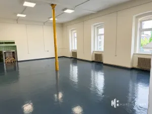 Pronájem skladu, Praha - Libeň, Na Košince, 150 m2
