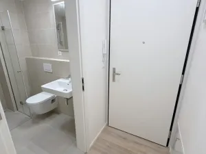Pronájem bytu 1+kk, Únětice, Rýznerova, 22 m2