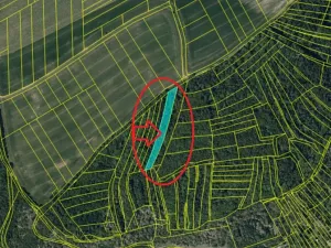 Prodej podílu lesa, Pustiměř, 1292 m2