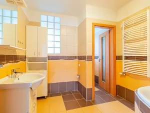 Prodej bytu 3+1, Písek, Sovova, 96 m2