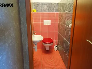 Prodej obchodního prostoru, Třebechovice pod Orebem, Pardubická, 293 m2