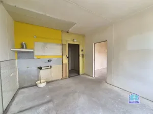 Prodej bytu 1+1, Líně, Vodárenská, 36 m2