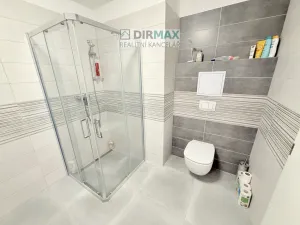Pronájem bytu 2+kk, Plzeň, Otýlie Beníškové, 60 m2