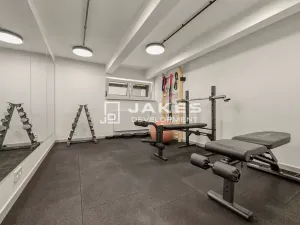 Pronájem bytu 1+kk, Praha - Břevnov, Pod Drinopolem, 30 m2