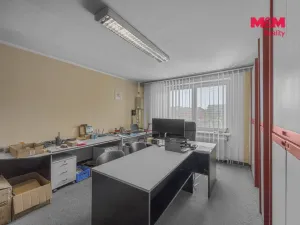 Prodej obchodního prostoru, Pardubice - Zelené Předměstí, Mikulovická, 330 m2