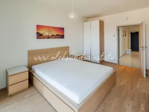 Pronájem bytu 2+kk, Praha - Žižkov, Olšanská, 61 m2