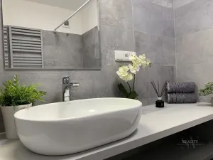 Pronájem bytu 2+kk, Mladá Boleslav - Mladá Boleslav II, Jana Palacha, 42 m2