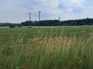Prodej pozemku pro bydlení, Rožmitál pod Třemšínem, 2091 m2