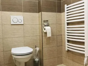 Pronájem bytu 2+1, Děčín, Radniční, 55 m2