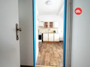 Pronájem bytu 1+1, Karlovy Vary, Jabloňová, 45 m2
