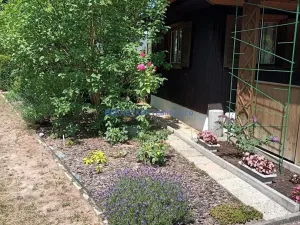 Prodej chaty, Hradec Králové - Pouchov, Za Hřbitovem, 16 m2