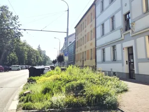 Pronájem bytu 2+kk, České Budějovice - České Budějovice 3, Pekárenská, 51 m2