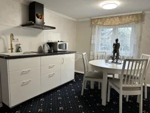 Prodej ubytování, Karlovy Vary, Zámecký vrch, 351 m2