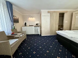 Prodej ubytování, Karlovy Vary, Zámecký vrch, 351 m2