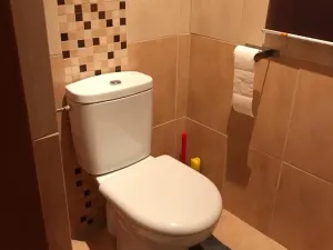 Pronájem bytu 2+1, Praha - Smíchov, Holečkova, 66 m2