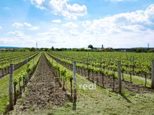 Prodej pozemku, Březí, 3474 m2