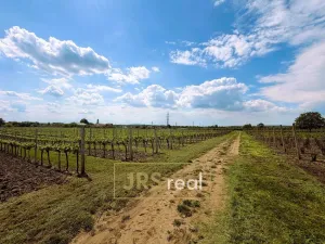 Prodej pozemku, Březí, 3474 m2