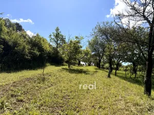 Prodej chaty, Strážnice, 23 m2