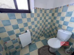 Prodej rodinného domu, Chřenovice, 286 m2