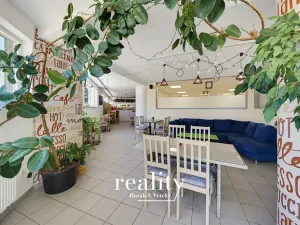 Prodej obchodního prostoru, Jihlava, Buková, 234 m2