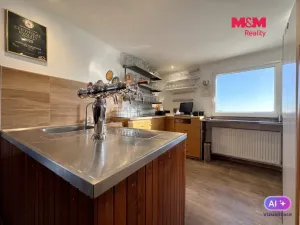 Prodej rodinného domu, Velké Žernoseky, 438 m2