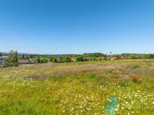 Prodej pozemku pro bydlení, Litvínovice - Šindlovy Dvory, 1006 m2