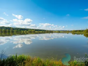 Prodej pozemku pro bydlení, Litvínovice - Šindlovy Dvory, 1010 m2