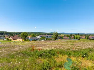 Prodej pozemku pro bydlení, Litvínovice - Šindlovy Dvory, 1010 m2