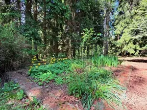 Prodej chaty, Borová, 53 m2
