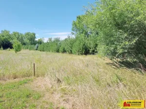 Prodej pole, Znojmo, 5202 m2