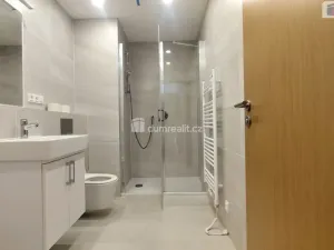 Pronájem bytu 2+kk, Praha - Nusle, Mužíkova, 44 m2