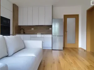 Pronájem bytu 2+kk, Praha - Nusle, Mužíkova, 44 m2