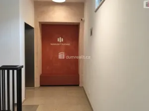 Pronájem bytu 2+kk, Praha - Nusle, Mužíkova, 44 m2